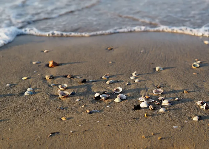 Precious In With Swimming Pool *